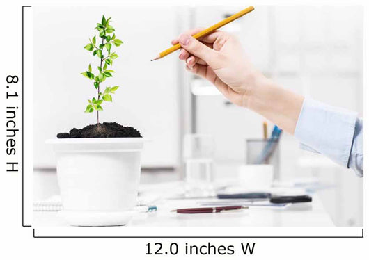 How Big Your Success Wall Decal