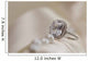 Wedding Ring with Diamond Wall Decal