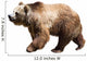 Bear over White Wall Decal