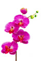 Artificial Orchid Flower White
