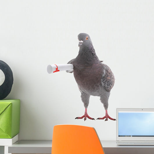 Grey Dove Wall Decal