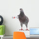 Grey Dove Wall Decal