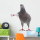 Grey Dove Wall Decal