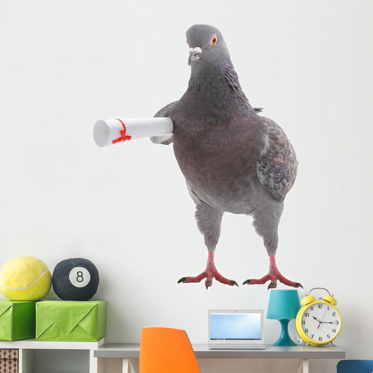 Grey Dove Wall Decal
