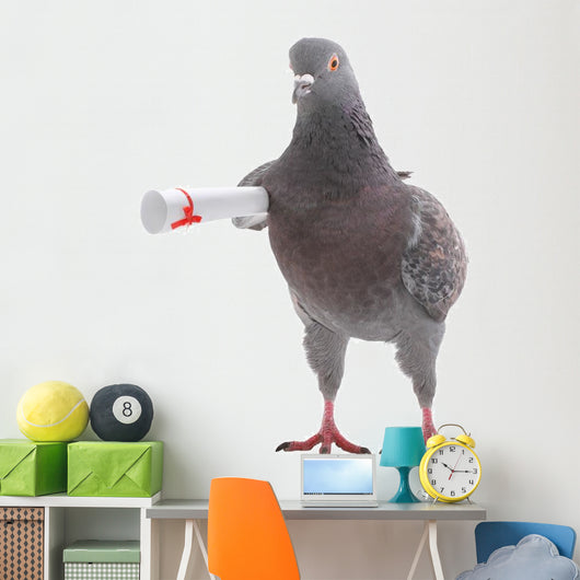 Grey Dove Wall Decal