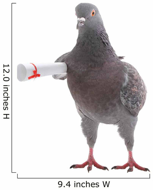 Grey Dove Wall Decal