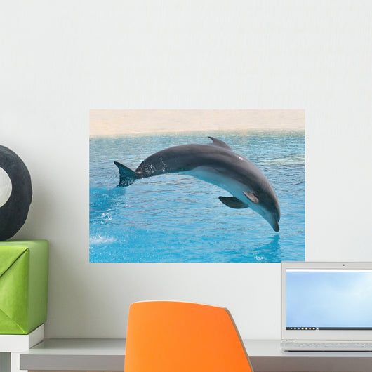Delphin Wall Decal