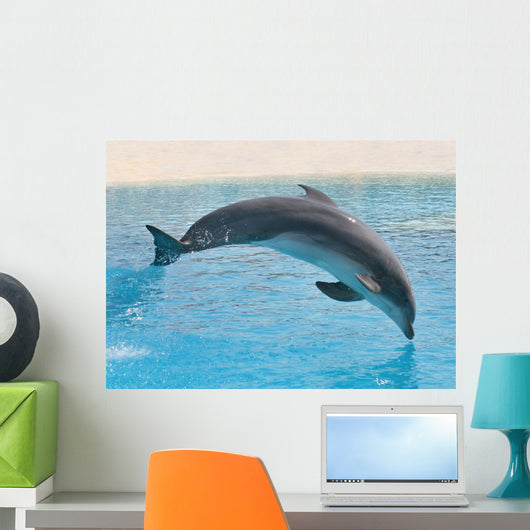 Delphin Wall Decal