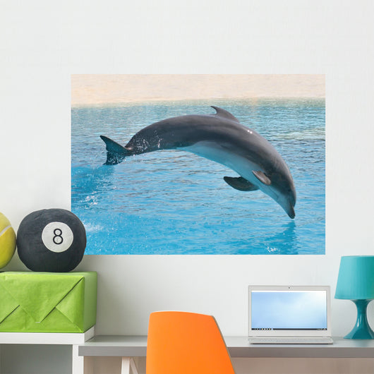 Delphin Wall Decal