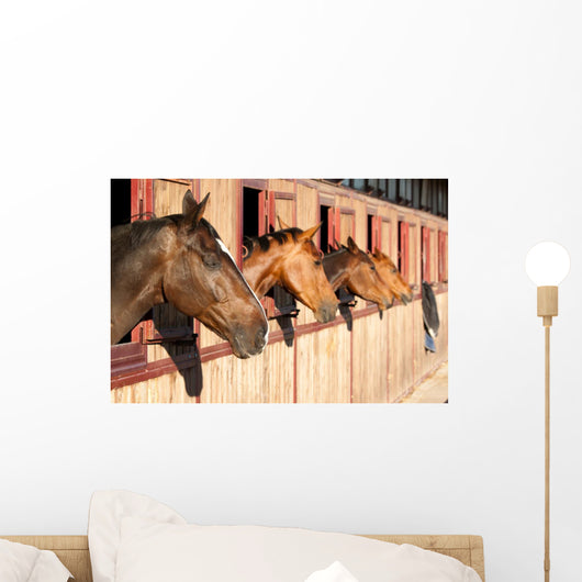 Horses Their Stable Wall Decal