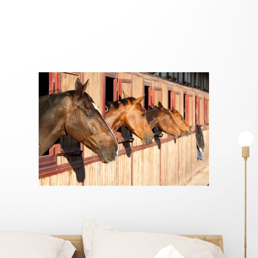 Horses Their Stable Wall Decal