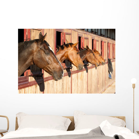 Horses Their Stable Wall Decal