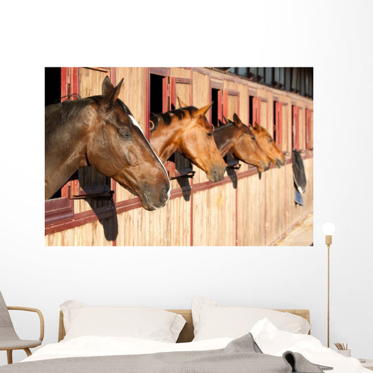 Horses Their Stable Wall Decal