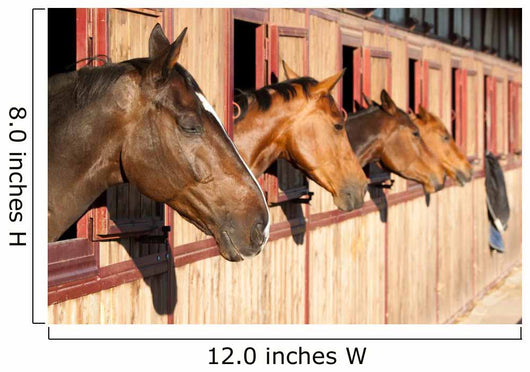 Horses Their Stable Wall Decal