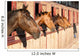 Horses Their Stable Wall Decal
