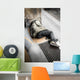 Senzatetto Sdraiato per Terra Wall Decal