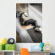 Senzatetto Sdraiato per Terra Wall Decal