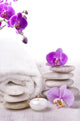 Bright Spa Wall Decal