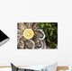 Oysters Wall Decal