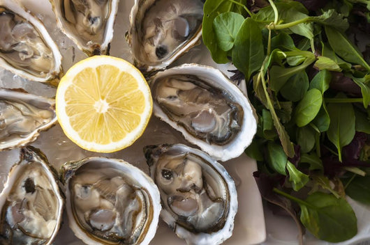 Oysters Wall Decal