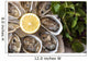 Oysters Wall Decal