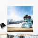 Winter Skii Boots Wall Decal