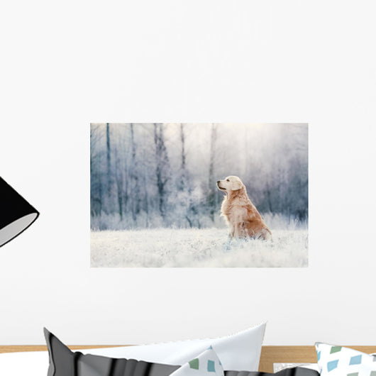 Golden Retriever Sits Frost Wall Decal