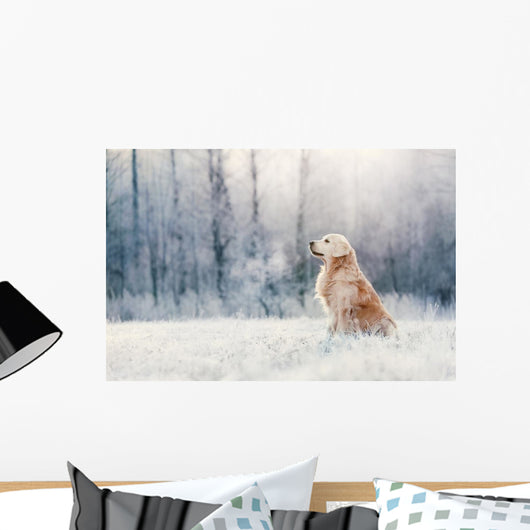 Golden Retriever Sits Frost Wall Decal