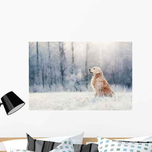 Golden Retriever Sits Frost Wall Decal
