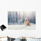 Golden Retriever Sits Frost Wall Decal