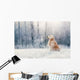 Golden Retriever Sits Frost Wall Decal