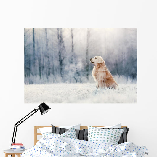 Golden Retriever Sits Frost Wall Decal