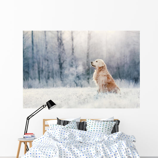 Golden Retriever Sits Frost Wall Decal