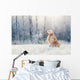 Golden Retriever Sits Frost Wall Decal