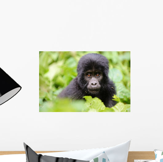 Baby Gorilla Wall Decal