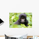 Baby Gorilla Wall Decal