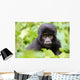 Baby Gorilla Wall Decal