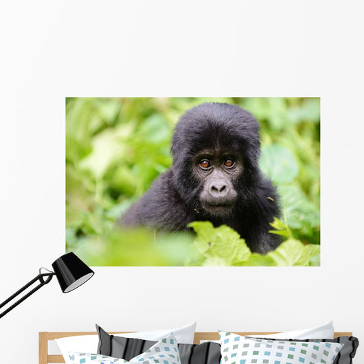 Baby Gorilla Wall Decal
