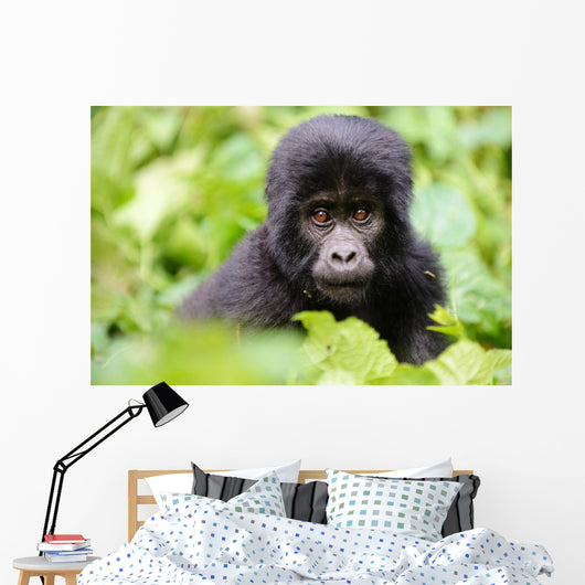 Baby Gorilla Wall Decal