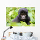Baby Gorilla Wall Decal