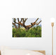 Tree Climbing Lions Wall Decal