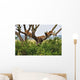 Tree Climbing Lions Wall Decal