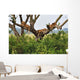 Tree Climbing Lions Wall Decal