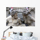Detail Pallas-athene Fountain Vienna Wall Decal