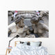 Detail Pallas-athene Fountain Vienna Wall Decal