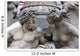 Detail Pallas-athene Fountain Vienna Wall Decal