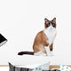 Snowshoe thai cat, sitting and looking at the camera Wall Decal