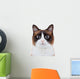 Not-So Angry Cat Wall Decal