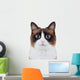Not-So Angry Cat Wall Decal
