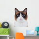 Not-So Angry Cat Wall Decal
